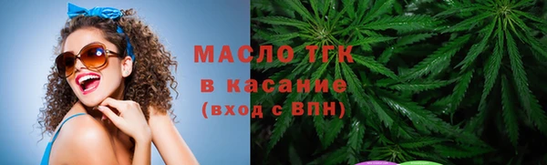 соль ск Туринск