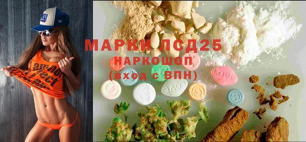 ПСИЛОЦИБИНОВЫЕ ГРИБЫ Заволжье