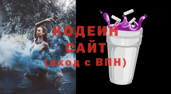 соль ск Туринск